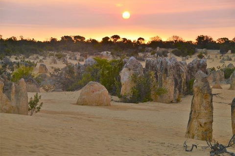 Pinnacle Desert Sunset And Stargazing With Dinner - Dalby Accommodation 5