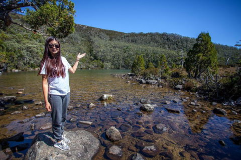 Mt Field National Park Active Day-Trip Including Bonorong And Mt Wellington - Dalby Accommodation 4