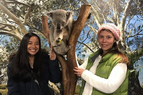 The Ultimate Sydney Attractions Pass - Dalby Accommodation 1