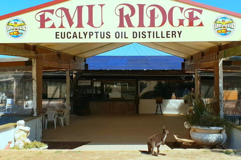 2-Day Kangaroo Island Safari From Adelaide - Dalby Accommodation 4