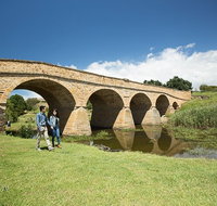 Bonorong Wildlife Park and Richmond Afternoon Tour from Hobart - Dalby Accommodation