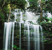 Mt Field National Park and Russell Falls from Hobart - Dalby Accommodation