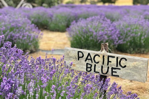 Kangaroo Island Half Day Food And Wine Trail Tour - Dalby Accommodation 5