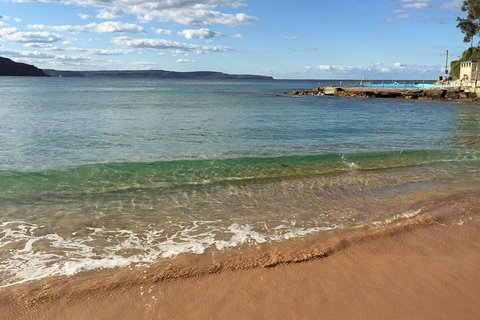 Small-Group Sydney's Northern Beaches And Ku-ring-gai National Park Bus Tour - Dalby Accommodation 1