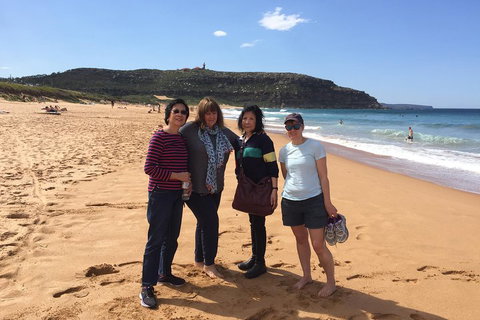 Small-Group Sydney's Northern Beaches And Ku-ring-gai National Park Bus Tour - Dalby Accommodation 2