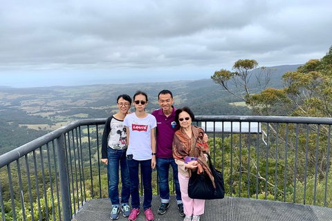 Southern Highlands & South Coast Private Tour From Sydney - Dalby Accommodation 2