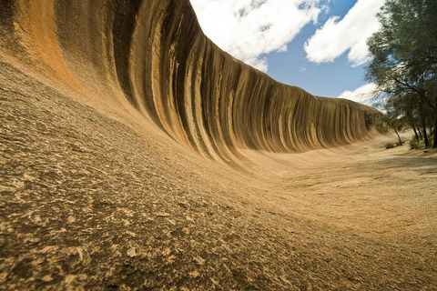 2-Day Wave Rock, York, Wildflowers & Aboriginal Experience - Dalby Accommodation 1