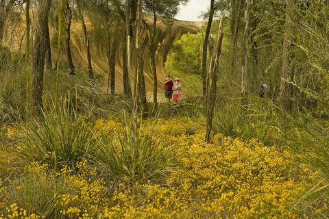 2-Day Wave Rock, York, Wildflowers & Aboriginal Experience - Dalby Accommodation 2