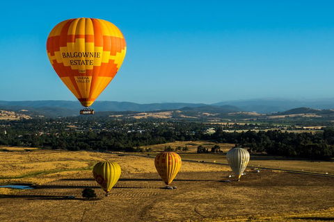 Yarra Valley Balloon Flight And Winery Tour - Dalby Accommodation 0