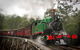 Puffing Billy, Wildlife Sanctuary & Penguins Day Tour From Melbourne - thumb 5