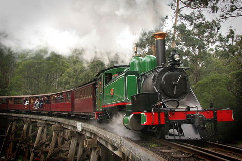 Puffing Billy, Wildlife Sanctuary & Penguins Day Tour From Melbourne - Dalby Accommodation 5