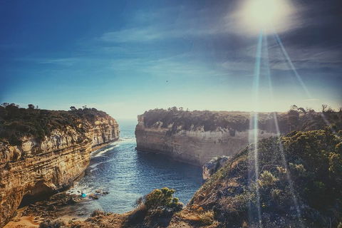 Great Ocean Road & Phillip Island Overnight Tour - Dalby Accommodation 0