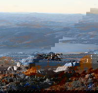 Mt. Wellington Bonorong and Richmond Day Tour from Hobart - Dalby Accommodation