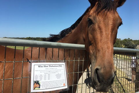 Legends & Champions Tour - Dalby Accommodation 4