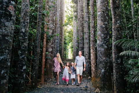The Original Day Tour To Paronella Park, Lake Barrine And Millaa Millaa Falls - Dalby Accommodation 1