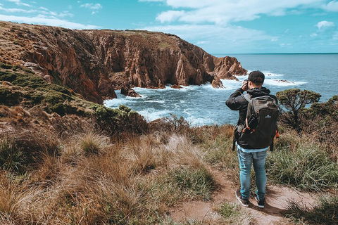 Private Phillip Island & Penguin Parade Hiking Tour From Melbourne - Dalby Accommodation 5