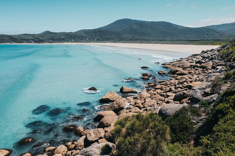 Private Wilsons Promontory Hiking Tour From Melbourne - Dalby Accommodation 0