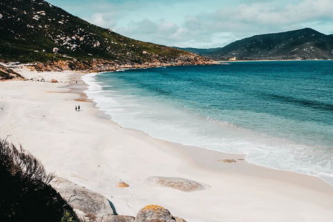 Private Wilsons Promontory Hiking Tour From Melbourne - Dalby Accommodation 5