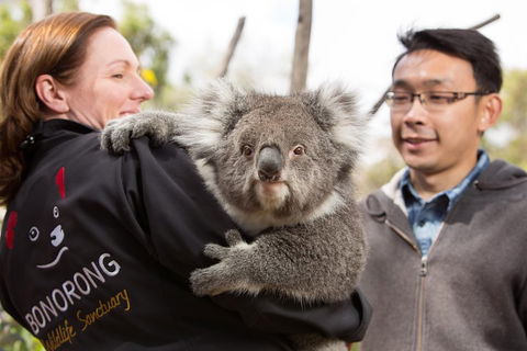Bonorong Wildlife Park And Richmond Afternoon Tour From Hobart - Dalby Accommodation 0