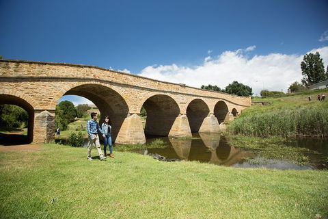 Bonorong Wildlife Park And Richmond Afternoon Tour From Hobart - Dalby Accommodation 2