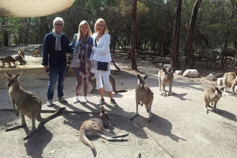 Private Scenic Day Trip From Sydney For Families And Friends - Dalby Accommodation 1