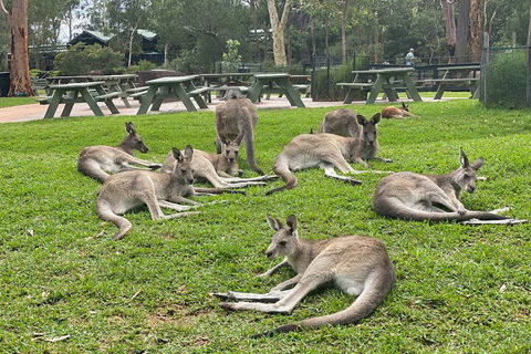 Private Scenic Day Trip From Sydney For Families And Friends - Dalby Accommodation 4