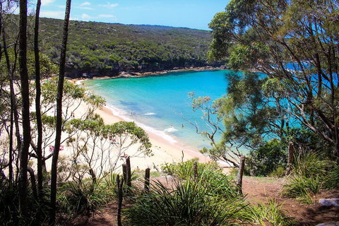 South Coast Private Charter - Dalby Accommodation 1