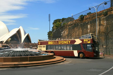 Big Bus Sydney And Bondi Hop-on Hop-off Tour - Dalby Accommodation 3