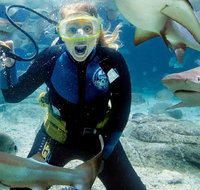 Shark Dive Experience at SEA LIFE Melbourne Aquarium - Dalby Accommodation