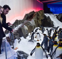 Penguin Passport at SEA LIFE Melbourne Aquarium - Dalby Accommodation