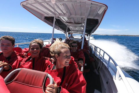Adventure Rottnest Tour With Ferry & Adventure Cruise From Perth Or Fremantle - Dalby Accommodation 0