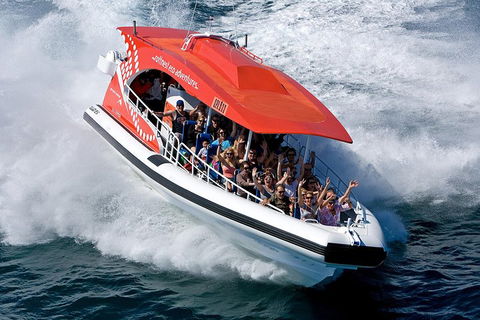 Adventure Rottnest Tour With Ferry & Adventure Cruise From Perth Or Fremantle - Dalby Accommodation 2