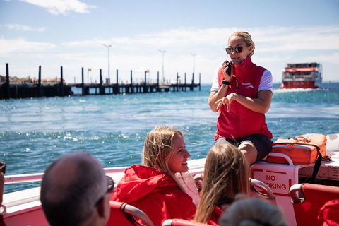 Adventure Rottnest Tour With Ferry & Adventure Cruise From Perth Or Fremantle - Dalby Accommodation 4