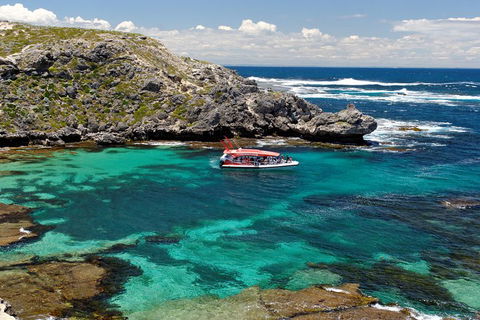 Adventure Rottnest Tour With Ferry & Adventure Cruise From Perth Or Fremantle - Dalby Accommodation 5