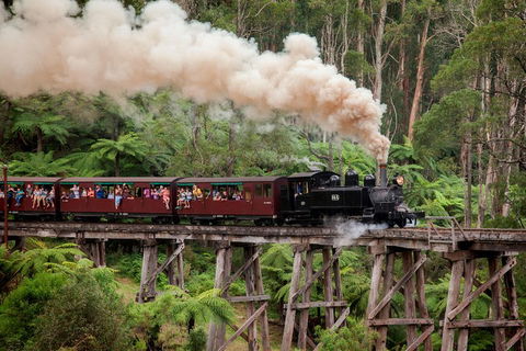 Melbourne Combo: Great Ocean Road, Puffing Billy, Moonlit Sanctuary & Penguins - Dalby Accommodation 1