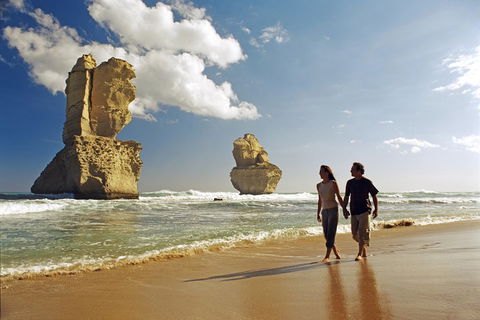 Melbourne Combo: Great Ocean Road, Puffing Billy, Moonlit Sanctuary & Penguins - Dalby Accommodation 2