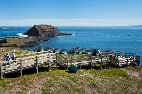 Melbourne Combo: Great Ocean Road, Puffing Billy, Moonlit Sanctuary & Penguins - Dalby Accommodation 5