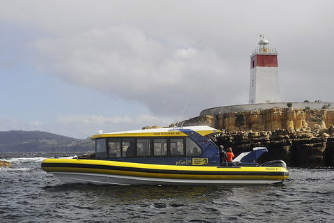 Hobart Sightseeing Cruise Including Iron Pot Lighthouse - Dalby Accommodation 0