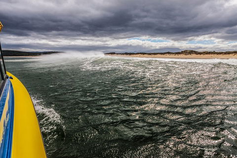 Hobart Sightseeing Cruise Including Iron Pot Lighthouse - Dalby Accommodation 3