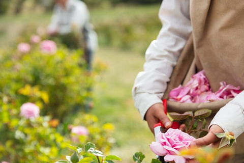 3 Days Adelaide Hills Wellness Escape - Dalby Accommodation 3
