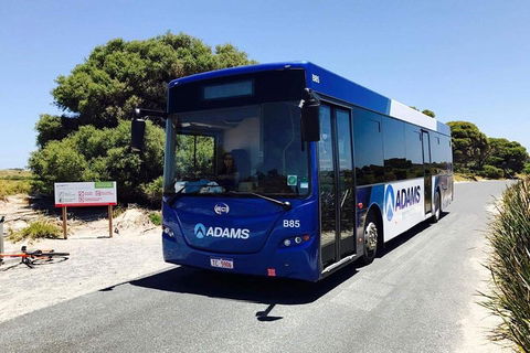 Rottnest Bayseeker Bus Tour From Hillarys Boat Harbour - Dalby Accommodation 0