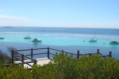 Rottnest Bayseeker Bus Tour From Hillarys Boat Harbour - Dalby Accommodation 3