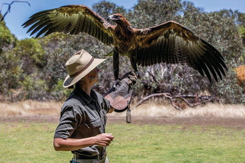 One Day Kangaroo Island Sip & See Tour With Return Ferry Transfers From Adelaide - Dalby Accommodation 0