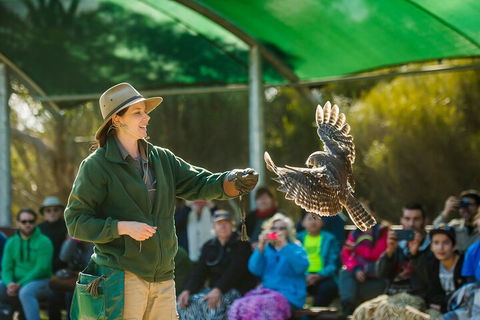 One Day Kangaroo Island Sip & See Tour With Return Ferry Transfers From Adelaide - Dalby Accommodation 3