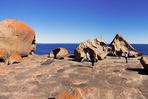 Full-Day Kangaroo Island Experience Departing From Kangaroo Island - Dalby Accommodation 4