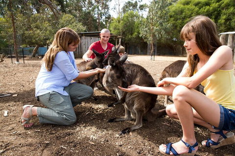 Full-Day Kangaroo Island Experience Departing From Kangaroo Island - Dalby Accommodation 5