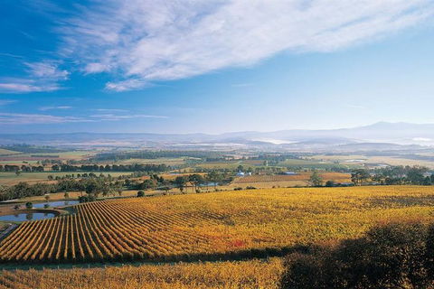 Melbourne City Tour And Half Day Yarra Valley In One Day - Dalby Accommodation 5
