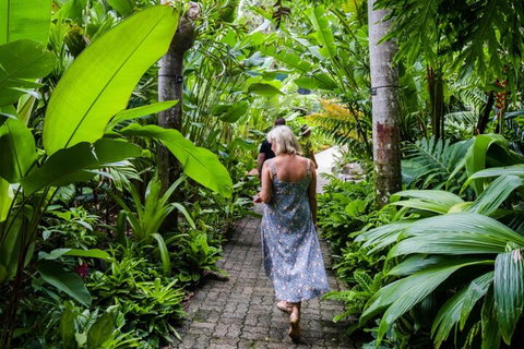 Cairns City Sights And Surrounds Tour - Dalby Accommodation 2