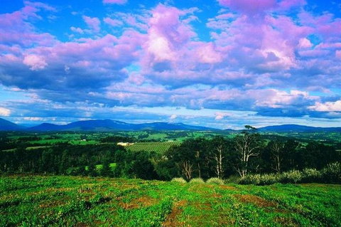CHEVY CONVERTIBLE Package For 4 -Wine Lunch Cheese & Chocolate From Yarra Valley - Dalby Accommodation 4