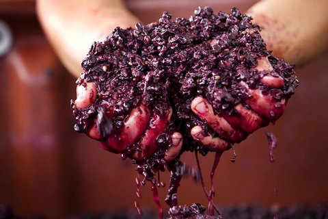 CHEVY CONVERTIBLE Package For 4 -Wine Lunch Cheese & Chocolate From Yarra Valley - Dalby Accommodation 5